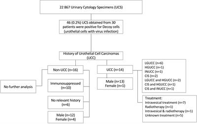 Human polyomaviruses JCPyV and MCPyV in urothelial cell carcinoma: a single institution experience